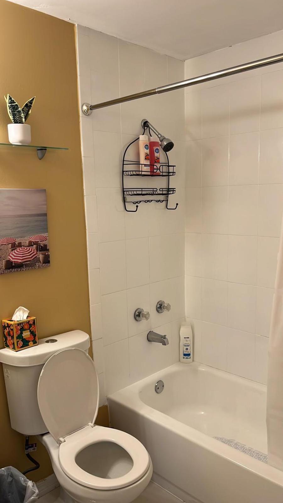 Вилла Beautiful, Fully Furnished 4Bed 2Bath House - 5 Minute Walk To Miracle Mile Downtown Coral Gables Майами Экстерьер фото
